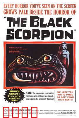 黑蝎：狂蝎末日