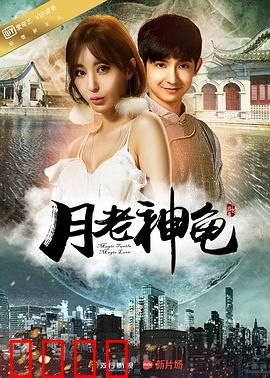 月老神龟：跨界牵红线