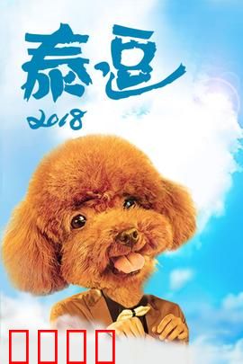 泰逗2018：爆笑方言喜剧