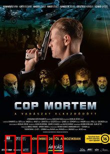 怒火警探：以暴制暴