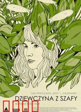 衣橱里的她1：失踪的模特