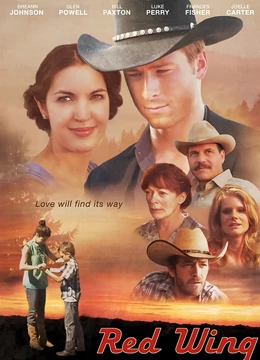 隐形红翼：暗黑逆袭