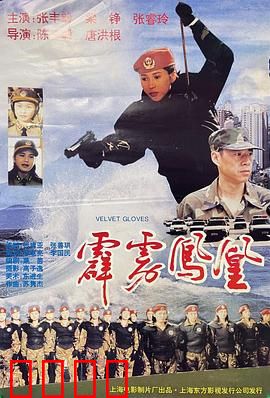 霹雳凤凰：女警卧底传奇