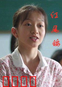 红尾鸽：血色信使