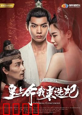 皇上命我来选妃：爆笑选妃记