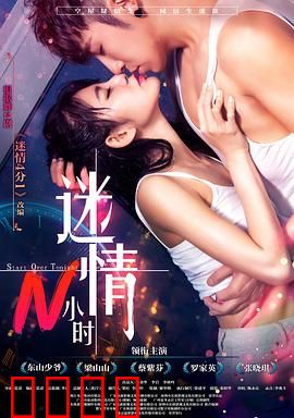 迷情N小时：一夜惊魂