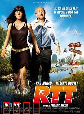 迈阿密行动：笨贼逃亡记