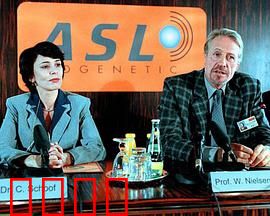 真假疑凶：迷雾重重