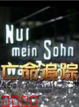 亡命追踪：生死时速