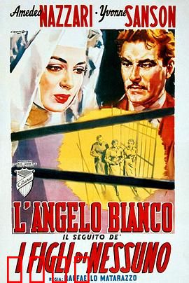 白天使：战地玫瑰