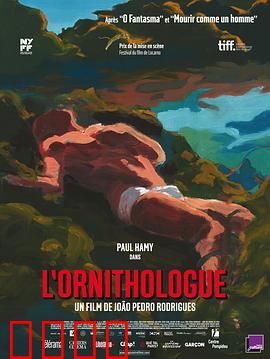 鸟类学家：森林中的神秘救赎