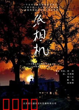 纸相机：童年梦想的见证