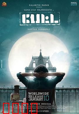 神勇佩塔：丛林大冒险