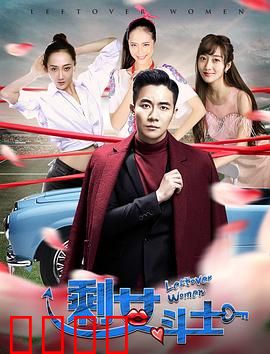 剩女斗士：爱情事业双逆袭