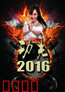 功夫2016：现代武林传奇