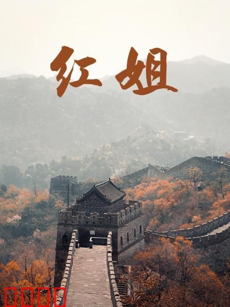 红姐2017：绝命复仇