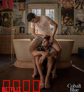 钴蓝爱恋：蓝色迷情