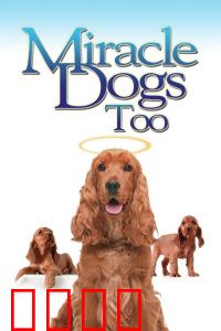 天降神犬2：智勇双全