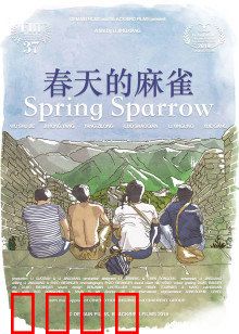 春天的麻雀：暗夜逆袭