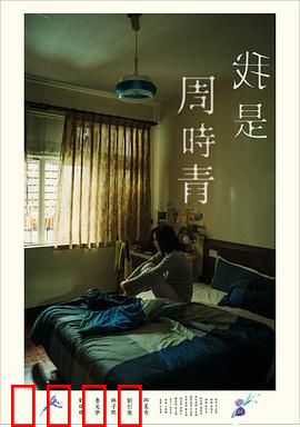 我是周时青：记忆的碎片