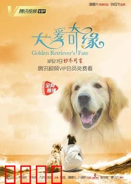 犬爱奇缘：人狗情深催泪
