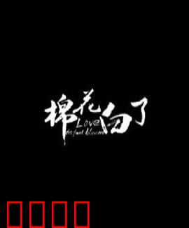 棉花白了：棉农的坚守