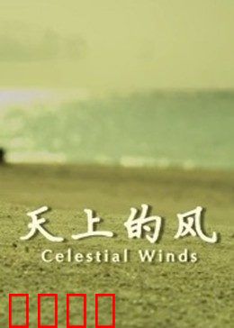 天上的风：自由与羁绊的抉择