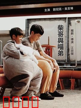 柴哥与喵弟：流浪相依