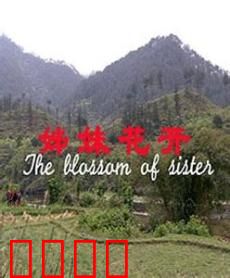 姊妹花开：姐妹情深共渡难关