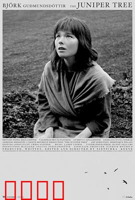 女巫恋人：禁忌之咒