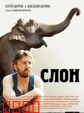 大象菩提：心灵觉醒之旅