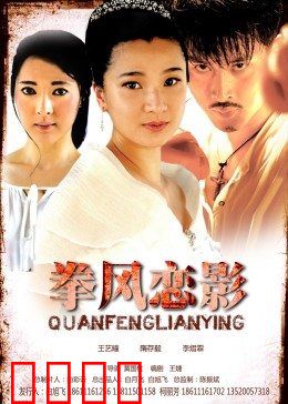 拳风恋影：铁拳下的柔情