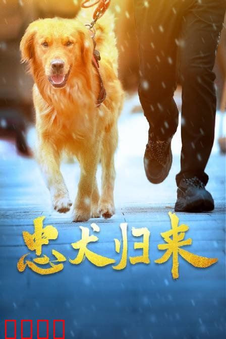 忠犬归来：忠魂不灭