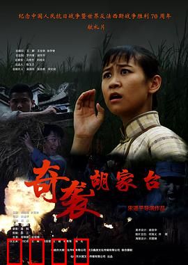 奇袭胡家台：智勇双全夺胜利