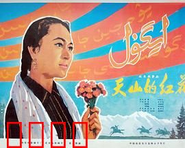天山的红花：草原巾帼情