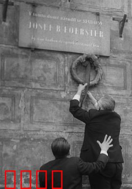 我们的费尔斯特先生去世了：善良的代价