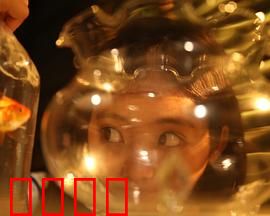 樓上樓下：邻里之间