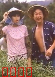 小美我爱你：迟到的心意