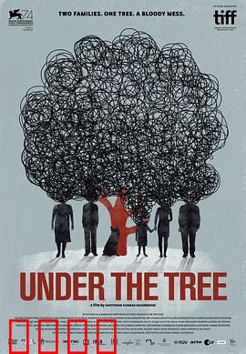 树下惊魂：老树下的诅咒