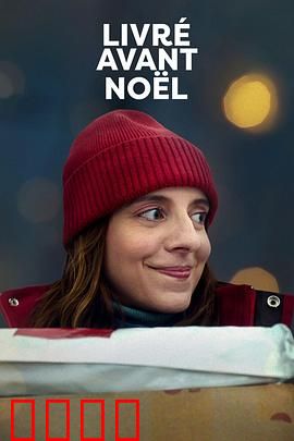 圣诞宅急便：暖心快递员的奇幻一夜