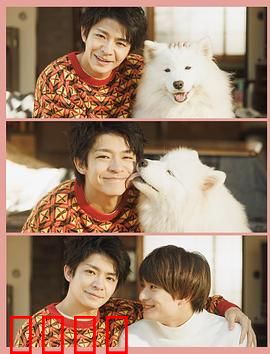 爱你汪汪：狗狗的跨国恋情