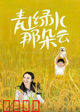 青山绿水那朵云：家乡创业梦