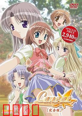 Canvas ～茶色的主题～：画布上的秘密