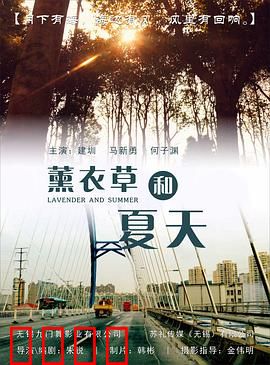 薰衣草和夏天：普罗旺斯恋曲