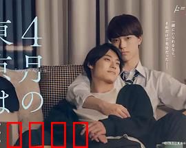 4月的东京…：樱花下的邂逅