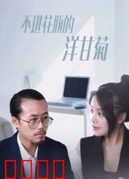 不进花瓶的洋甘菊：自由与爱的抉择