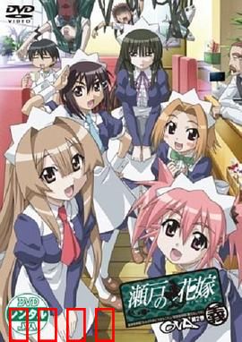 濑户的花嫁 义：仁义与爱的抉择