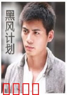 不良英雄：逆袭的街头传奇