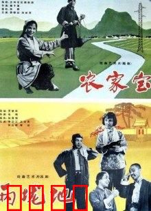 农家宝：农村致富宝典