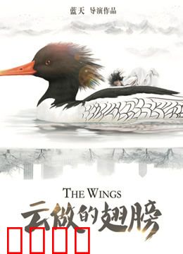 云做的翅膀：梦想启航